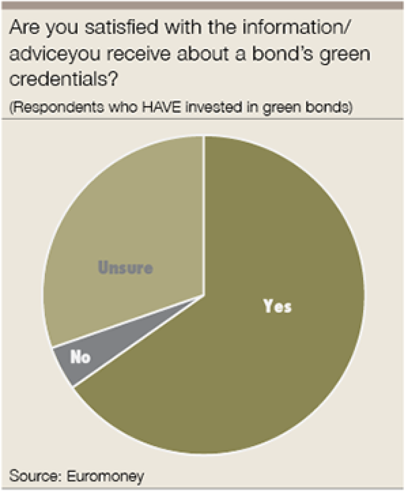 Green Bonds Survey What investors want Euromoney