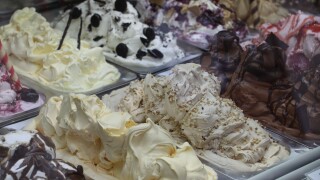 Various ice cream flavours in trays