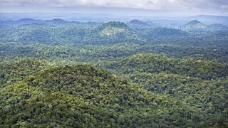 Aerial view of the Amazon forest in Tumucumaque Mountains National Park. Image shot 04/2012. Exact date unknown.