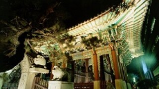 seoul korea px230
