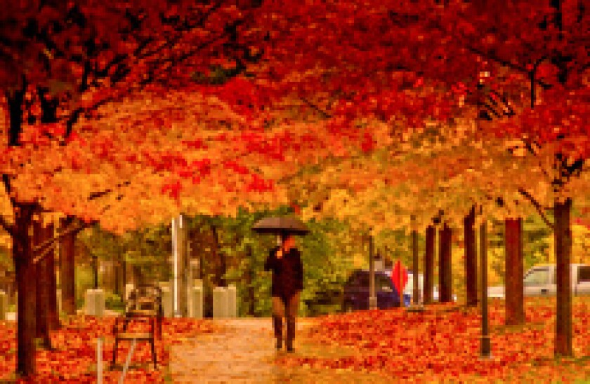 Autumn_in_Toronto Wiki 230x150