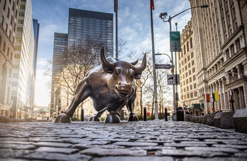 Bull_new_york_Adobe_575x375