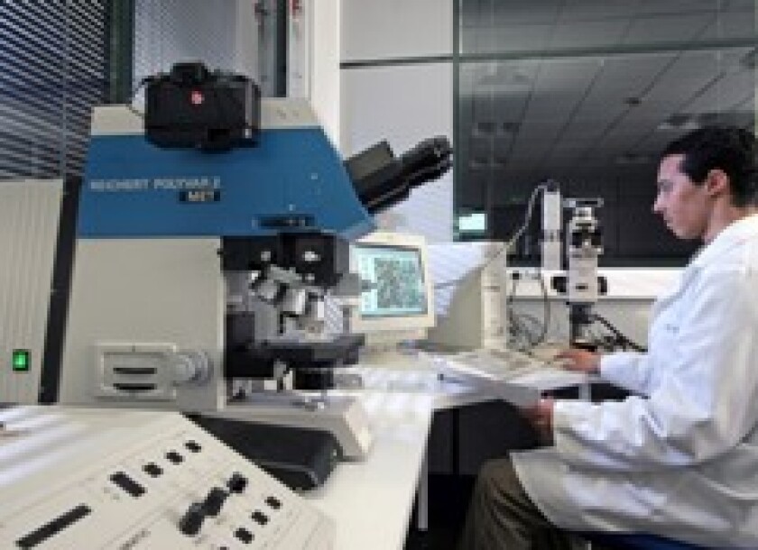 schneider-lab-for-web.jpg