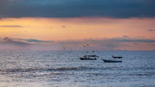 Idyllic sunset landscape. Tarcoles, Costa Rica