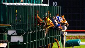 Race horses break out of the starting gate