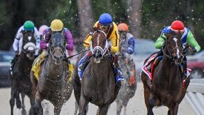 March 7, 2015 - U.S. - Carpe Diem with Johnny Velazquez Wins The Tampa Derby at Tampa Bay Downs March 7 2015(Credit Image: © Cal Sport Media\/ZUMAPRESS.com)