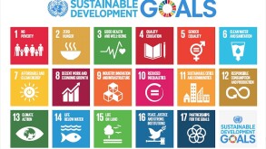 SDGs