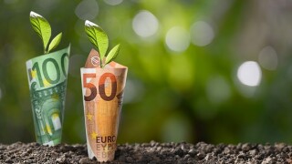 GreenNotes_Adobe_575x375