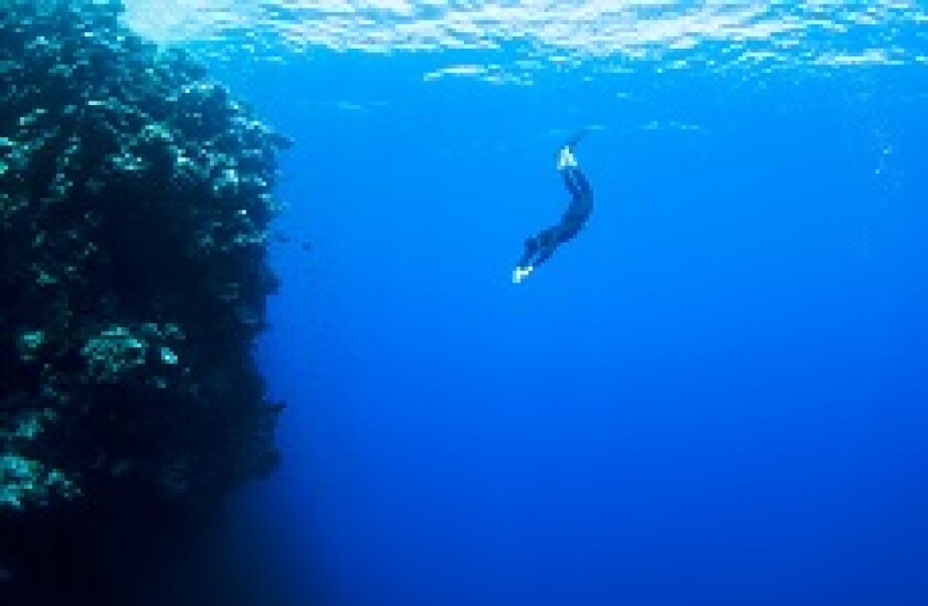 Dive_diver_plunge_Fotolia_230x150