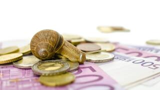 Garden snail sitting on Euro banknotes and coins.