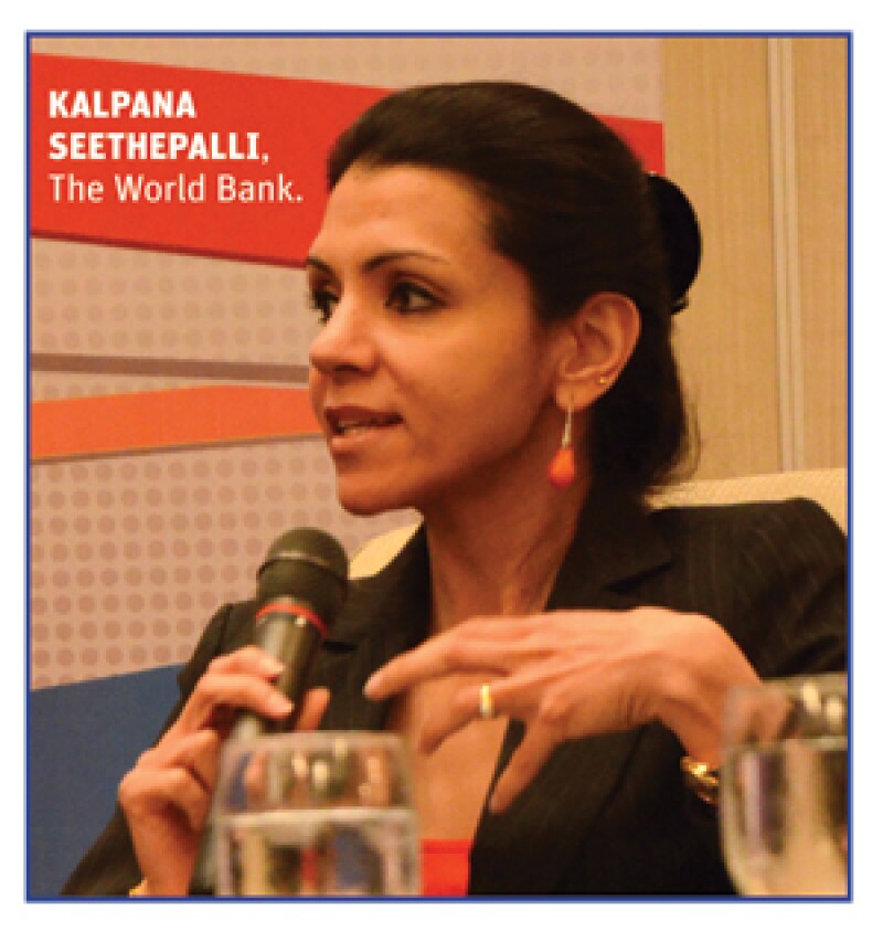 Kalpana Seethepalli, World Bank