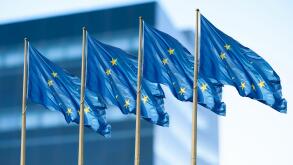 Flags of European Union near building outdoors