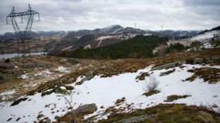 Norway from alamy 4 June 25.jpg