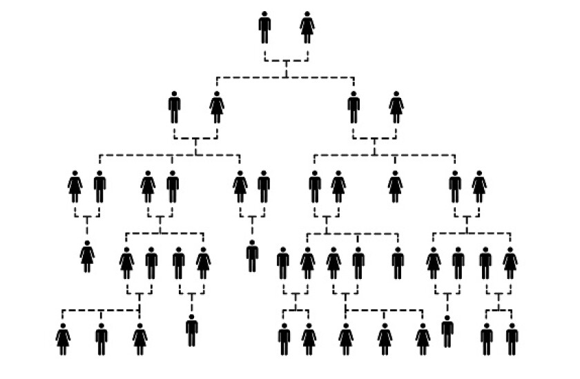 family tree adobe stock 575 375