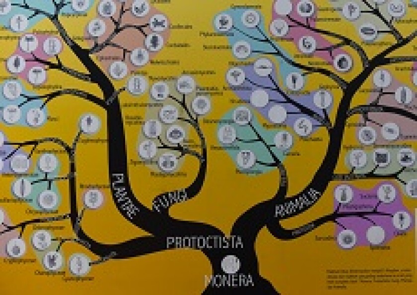 Taxonomy biology from Alamy 230x150