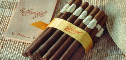 Cigar Cigars of Havana Havanna Cuba DAVIDOFF Davidoffs Kuba smoke smoker smoking high quality