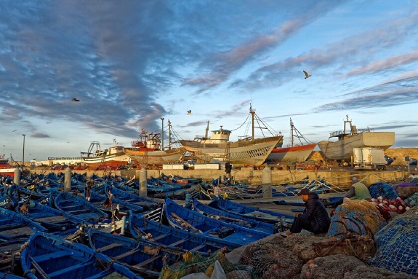 Fishing ocean Essaouira Africa from Alamy 30Nov23 575x375