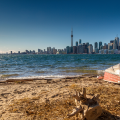 Toronto.png