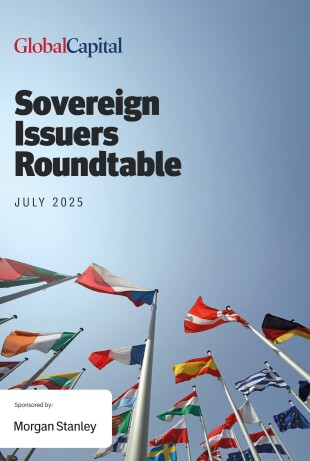 Sovereign-Issuers-Roundtable---Jul-2025-1.jpg