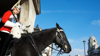 LONDON - JUNE 23, 2011: A mounted Life Guard of the Household Calvary sits on a black horse in Whitehall.