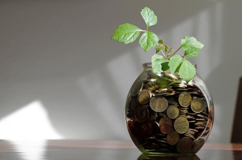 Green leaves and money from Alamy 19 Jan