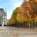 Autumn in Paris