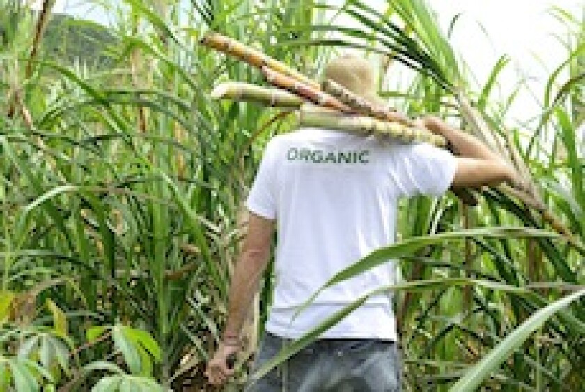 Brazil, sugar, Cosan