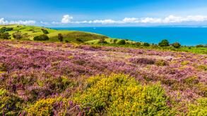 The view over the Bristol Channel from the Southwest Coast Path in the Exmoor National Park,Somerset.