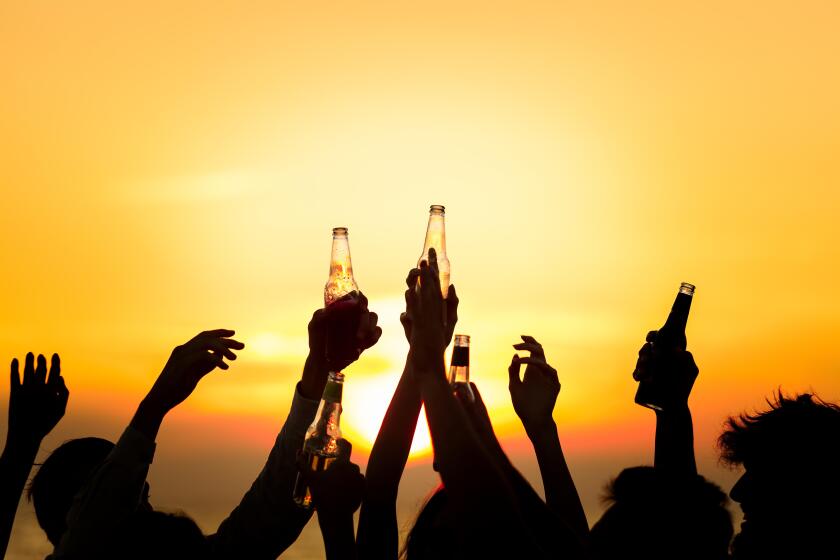 Friends Beach Party Drinks Toast Celebration Concept