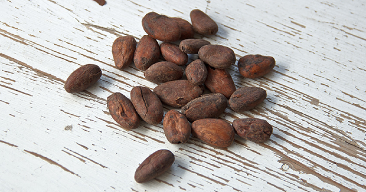 Cargo market stirred up by 50mn cocoa bean warehouse claim Insurance