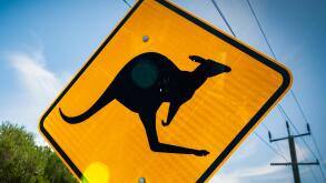 Kangaroo Sign