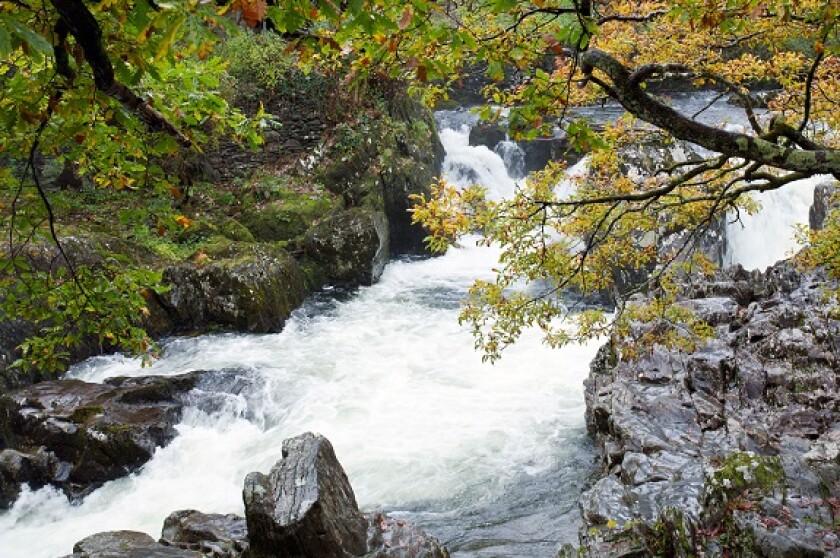 River in spate from Alamy 13Jan22 575x375