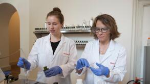 Givaudan perfume fragrance house at Perfume: A Sensory Journey Through Contemporary Scent at Somerset House