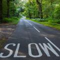 England, Hampshire, New Forest, Empty Road with Slow Sign and Trees