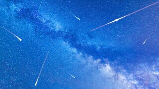 Shooting stars from Alamy 2Aug24 575x375