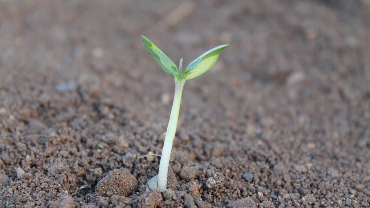 Sweden: new case law on tax values of properties with contaminated soil - Vimarsana News