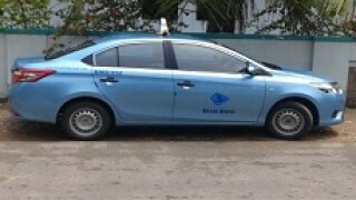 Blue Bird taxi230px