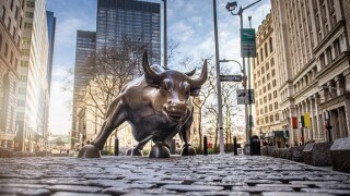 Bull_new_york_Adobe_575x375
