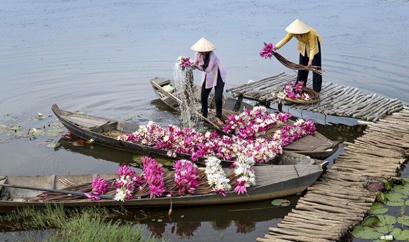 flowers-Vietnam-blossom-boat-780