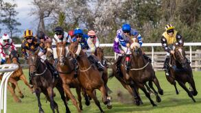 The JMC Healthcare Handicap (Div II) at Musselburgh - 14th September 2019. Jockey James Sullivan on My Valentino (left of frame) won the race.