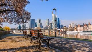 Skyline with skyscrapers of Frankfurt. Financial district with commercial buildings on the day with sunshine. Main riverbank in spring with tree and b