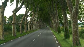 A peaceful road through the French countryside with tree canopy creating a secluded atmosphere. Perfect for a leisurely drive.