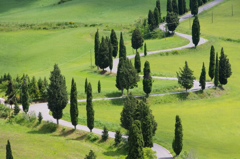 Zypressenkurven - cypress curve 43