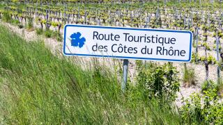 Typical vineyard with Wine road (Route Touristique des Cotes du Rhone) near Faucon, Cotes du Rhone, France