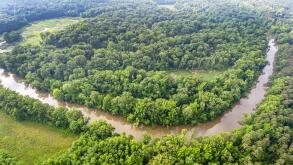 Alabama Decatur estuary nature natural scenery forest aerial view Flint Creek,
