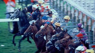 Horse start race HiRes 575 375