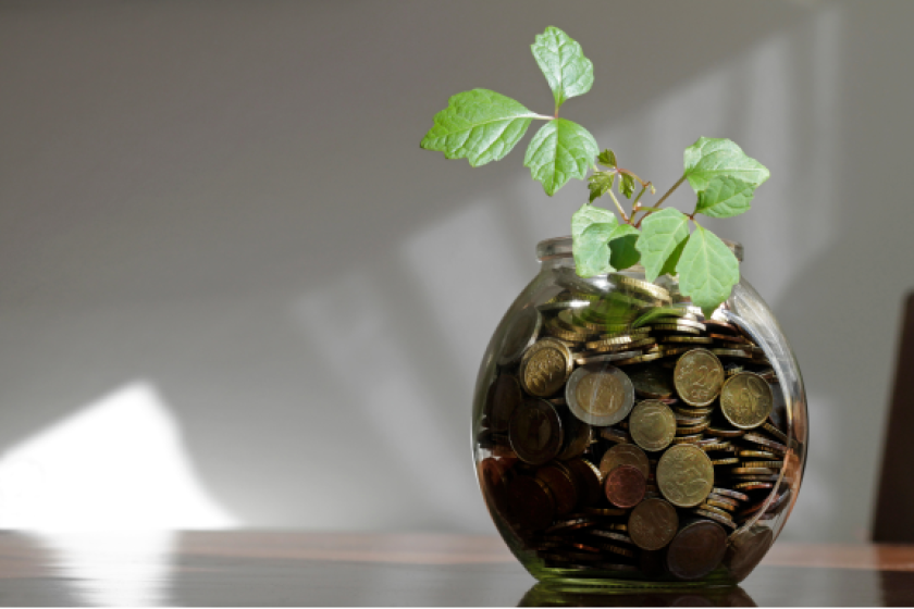 money jar plant from Alamy.png