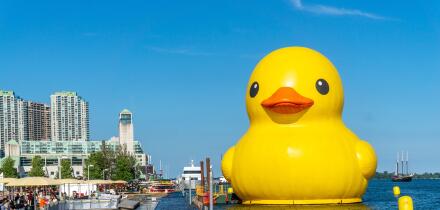 Giant Rubber Duck to Celebrate Canada's 150th Anniversary, Toronto, Canada - June 30, 2017