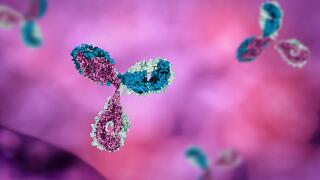 anti-body in pink and red background