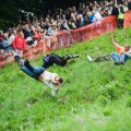 Rollover risk in action at the Cheese Rolling Festival, Cooper's Hill, Gloucestershire, UK
